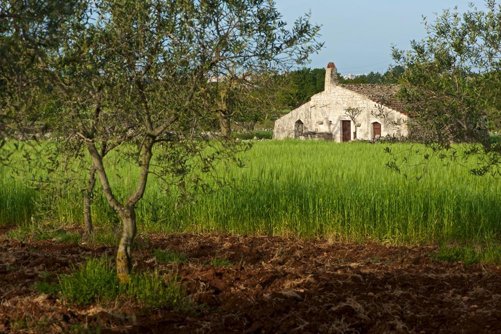 Masseria Ciavea Gioia Del Colle Buitenkant foto
