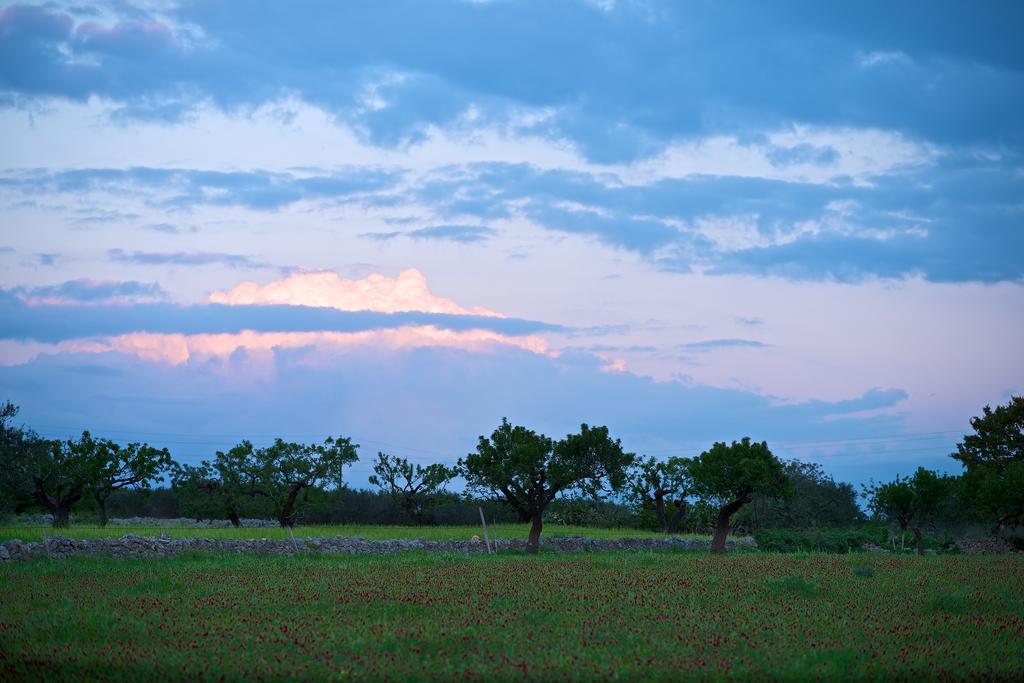 Masseria Ciavea Gioia Del Colle Buitenkant foto